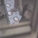 /photo/1/292/00_35_14_small.jpg