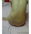 /photo/39058/老婆的黑丝/20071230_378d804b8c6f7b9beb51wf5d2ksssi8p_1_4_small.jpg