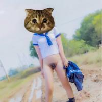 /photo/413197/一些网图/1802071520f631e6c57d11f772_1_2_small.jpg
