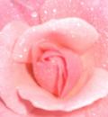 /photo/555942/logo/.jpg_1_6_small.jpg