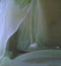 /photo/556066/我的她/ww_1_1_small.jpg