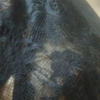 /photo/558026/老婆的最爱/-655bcb50ce6701ca_1_8_small.jpg