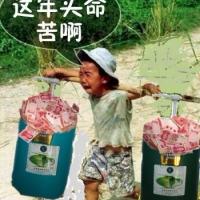 /photo/559938/wodezozipai/未命名565_1_1_small.jpg