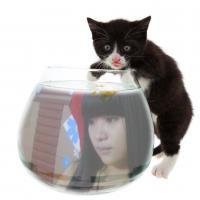 /photo/565737/我的宝贝/3_1_2_small.jpg