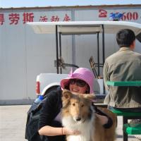 /photo/567828/生活照/http_imgload103_1_5_small.jpg