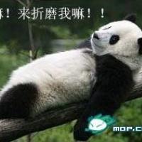 /photo/575539/我的相册/熊猫_1_6_small.jpg