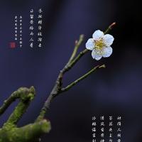 /photo/581096/品性高雅/13_1_3_small.jpg