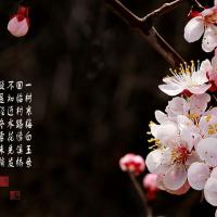 /photo/581096/品性高雅/3_1_13_small.jpg