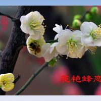 /photo/581096/品性高雅/7_1_9_small.jpg