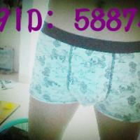 /photo/588742/地下党/snapshot_20120913__1_3_small.jpg