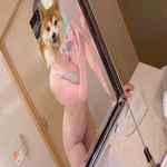 /photo/884714/爱妻/e239d587-c7b1-4710-8bb1-eb2882894e95_1_6_small.jpg