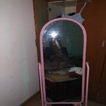/photo/885057/小婊砸想男人了/ce581a60-a09d-4d01-b9a6-22790ab8204c_1_4_small.jpg
