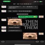 /photo/887559/聊天记录。记录生活/微信图片_20230224232541_2_18_small.jpg