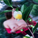 /photo/890934/相册1/mmexport1667225146094_1_4_small.jpg