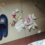/photo/894831/无法言语的快乐/mmexport1655080845497_1_4_small.jpg