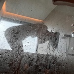 /photo/895655/老婆Y上K/7468ed90-bd0d-43f3-bf9b-933efc35bc5f_1_1_small.jpg