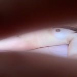 /photo/896412/奶茶好喝吗/c9e12f49-6750-42bd-8cc2-c01d9881fddc_1_1_small.jpg