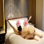 /photo/898224/真诚第一/3d9286cb-dac6-4f0e-8fa2-352ad66d7648_1_1_small.jpg