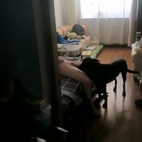 /photo/906239/第二次/6ef5a02e-3081-4a6f-a0be-bed3901cd63e_1_4_small.jpg