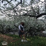 /photo/909583/老婆/cee2f3de-fd0a-4711-8ab6-a7c90d929e41_1_5_small.jpg