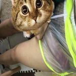 /photo/912227/我的武器/9413d7ad0f7f76ef6bea9c8ca70d7b0f_1_2_small.jpg