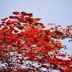 /photo/914758/日常生活照片/dc6c14aea61bac1ef8f270e99269b01_1_4_small.jpg