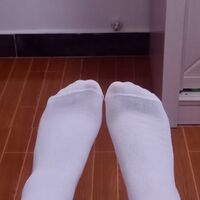 /photo/921012/本人原创/30046cd9b7b508f6ab07df7bf3c7c2d6_1_10_small.jpg
