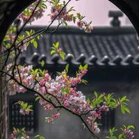 /photo/922032/缘分天空/1690310862758_20230303_0_1_3_small.jpg